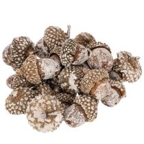 daiktų Gilės, natūralus produktas dekoravimui, baltai nubalintos, 1-3 cm, 300 g