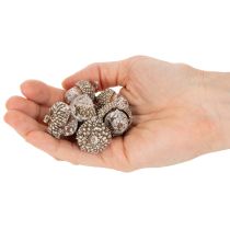 daiktų Gilės, natūralus produktas dekoravimui, baltai nubalintos, 1-3 cm, 300 g