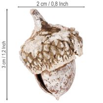 daiktų Gilės, natūralus produktas dekoravimui, baltai nubalintos, 1-3 cm, 300 g