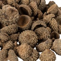 daiktų Natūralūs gilių kepurėlės, dekoratyviniai dubenėliai rudeniui ir Adventui, 2 cm, 300 g