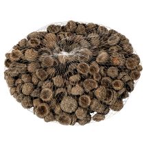 daiktų Natūralūs gilių kepurėlės, dekoratyviniai dubenėliai rudeniui ir Adventui, 2 cm, 300 g
