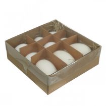 daiktų Gulbių kiaušinių ir vištų kiaušinių mišinys išpūstas kiaušinių baltymas 5,5/8cm 9vnt