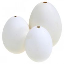 daiktų Gulbių kiaušinių ir vištų kiaušinių mišinys išpūstas kiaušinių baltymas 5,5/8cm 9vnt
