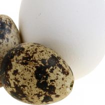 Dekoratyvinis kiaušinių mišinys putpelių kiaušiniai ir vištienos kiaušiniai Išpūsti velykiniai kiaušiniai