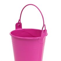 daiktų Kibiras spalvotas Ø8cm H7,5cm 12 vnt