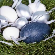 daiktų Emu kiaušinis natūralus 12cm - 14cm 1vnt