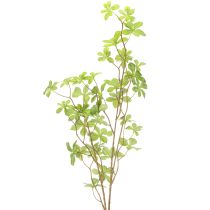 daiktų Dirbtinė šefleros šakelė, elegantiška augalo puošmena gyvenamosioms erdvėms, 95 cm