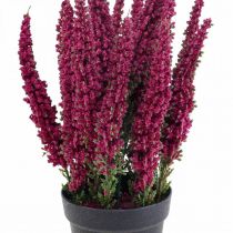 Erika purpurinis viržių šluotas viržių dirbtinis augalas H26cm