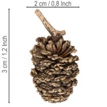 daiktų Alksnio kankorėžiai, natūralus produktas dekoravimui ir rankdarbiams, aukso spalvos, 3 cm, 300 g