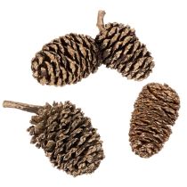 daiktų Alksnio kankorėžiai, natūralus produktas dekoravimui ir rankdarbiams, aukso spalvos, 3 cm, 300 g