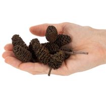 daiktų Natūralūs alksnio kankorėžiai, palaidi, dekoravimui, 3 cm, 300 g, natūraliai rudi.