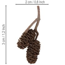 daiktų Natūralūs alksnio kankorėžiai, palaidi, dekoravimui, 3 cm, 300 g, natūraliai rudi.