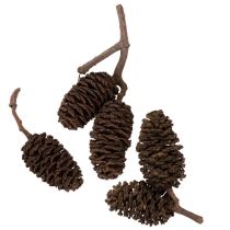 daiktų Natūralūs alksnio kankorėžiai, palaidi, dekoravimui, 3 cm, 300 g, natūraliai rudi.