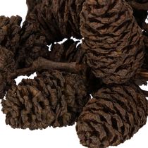 daiktų Natūralūs alksnio kankorėžiai, palaidi, dekoravimui, 3 cm, 300 g, natūraliai rudi.