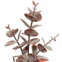 daiktų Dirbtinis eukaliptas Burgundija 32cm Dirbtinis augalas kaip tikras!