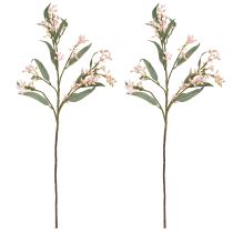 daiktų Eukalipto dirbtinės šakelės lapai pumpurai 75cm 2vnt
