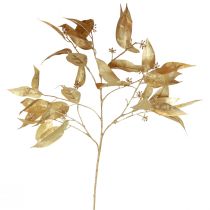 daiktų Eukalipto dirbtiniai lancetai Eucalyptus Branch Gold 95cm