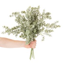 daiktų Dirbtinė eukalipto šakelė, dekoratyvinė šakelė vazoms ir puokštėms, 49 cm, 4 vnt.