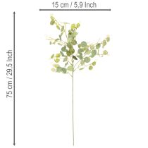 daiktų Dirbtinė eukalipto šakelė su apvaliais lapais, 75 cm, 4 vnt.