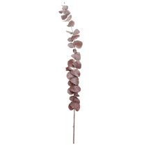 daiktų Eukalipto šakelės, konservuotas eukaliptas, džiovintos gėlės, raudonos, 75 cm, 150 g