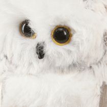 daiktų Pelėdos puošmenos pelėdos figūrėlės pakabinimui baltai pilka 6cm 4vnt