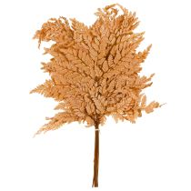 daiktų Oranžinės konservuotos paparčio dekoracijos 45 cm 10 dalių namų dekoracija „pasidaryk pats“