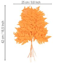 daiktų Džiovinti ir konservuoti paparčio lapai floristikai ir rudens dekoracijoms, 42 cm, 10 vnt.