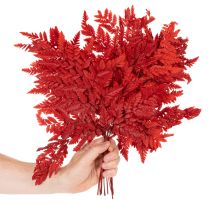 daiktų Konservuoti ir dažyti paparčio lapai, tikrasis papartis rudens kompozicijoms, 42 cm, 10 vnt.