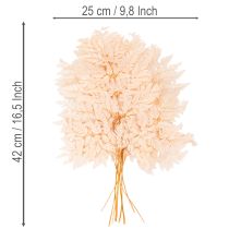 daiktų Džiovintų paparčių dekoracijos vazai 42cm 10vnt.