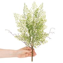 daiktų Dirbtinė žalia ruskuso šakelė gėlių dekoravimui, 41 cm