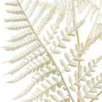 Dekoratyvinis lapinis papartis, dirbtinis augalas, paparčio šakelė, dekoratyvinis paparčio lapas baltas L59cm