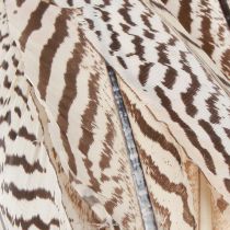 daiktų Fazano plunksnos rankdarbiams rudos smėlio spalvos natural 20cm 20vnt