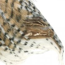 daiktų Miškinė pelėda, rudens puošmena, dekoratyvinė pelėda, Helovinas H16cm