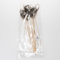 daiktų Plunksnų šakelių dekoratyviniai kuolai su natūraliomis plunksnomis, Velykų puošmena elegantiškoms kompozicijoms, 37 cm, 12 vnt.