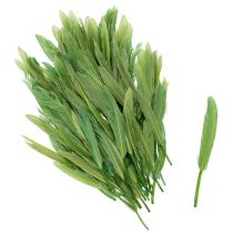 daiktų Dekoratyvinės plunksnos stilingai atmosferai ir įspūdingoms dekoracijoms 10 cm