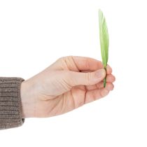 daiktų Dekoratyvinės plunksnos stilingai atmosferai ir įspūdingoms dekoracijoms 10 cm