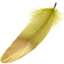 Plunksnos rankdarbiams Deco plunksnos Green-Golden L16-20cm 24vnt