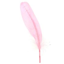 daiktų Plunksnos rankdarbiams Rožinės žąsies plunksnos 18cm - 20cm 20g x 2vnt