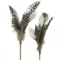 Dekoratyvinės plunksnos taškuotos ant pagaliuko tikros perlinės vištos plunksnos 4-8cm 24vnt