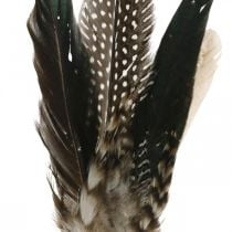 Plunksna ant metalinės spyruoklės Spyruoklinė apdaila Tikros plunksnos 25cm 5vnt