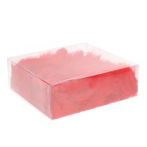 daiktų Trumpos plunksnos 30g raudonos