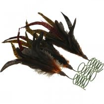 daiktų Spalvinga plunksnų puošmena ant vielos spyruoklinė puošmena H35cm 3vnt