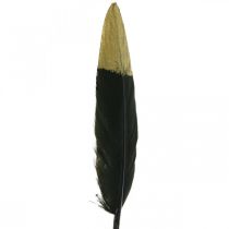 Dekoratyvinės plunksnos juodos, auksinės tikros plunksnos rankdarbiams 12-14cm 72p