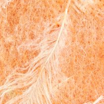 daiktų Veltinis juostelė vilna juostelė dekoratyvinis audinys oranžinės plunksnos vilnos veltinis 15cm 5m