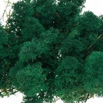 Dekoratyvinės samanų žalios islandinės samanos konservuojančios samanos rankdarbiams 400g