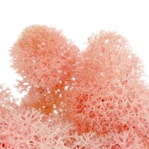 Deco samanos elnio samanos rožinės spalvos 400g
