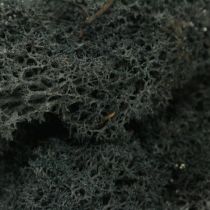Deco samanos juodos konservuotos šiaurės elnių samanos rankdarbiams 400g