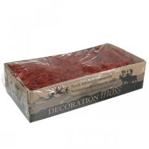 daiktų Dekoratyvinės samanos Red Siena Natūralios samanos rankdarbiams džiovintos, dažytos 500g