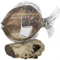 daiktų Dekoratyvinis žuvies medinis stovas ant šaknies Jūrinė apdaila 27cm