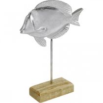 Žuvis dedama, jūrinė puošmena, dekoratyvinė žuvytė iš metalo sidabro, natūralios spalvos H23cm